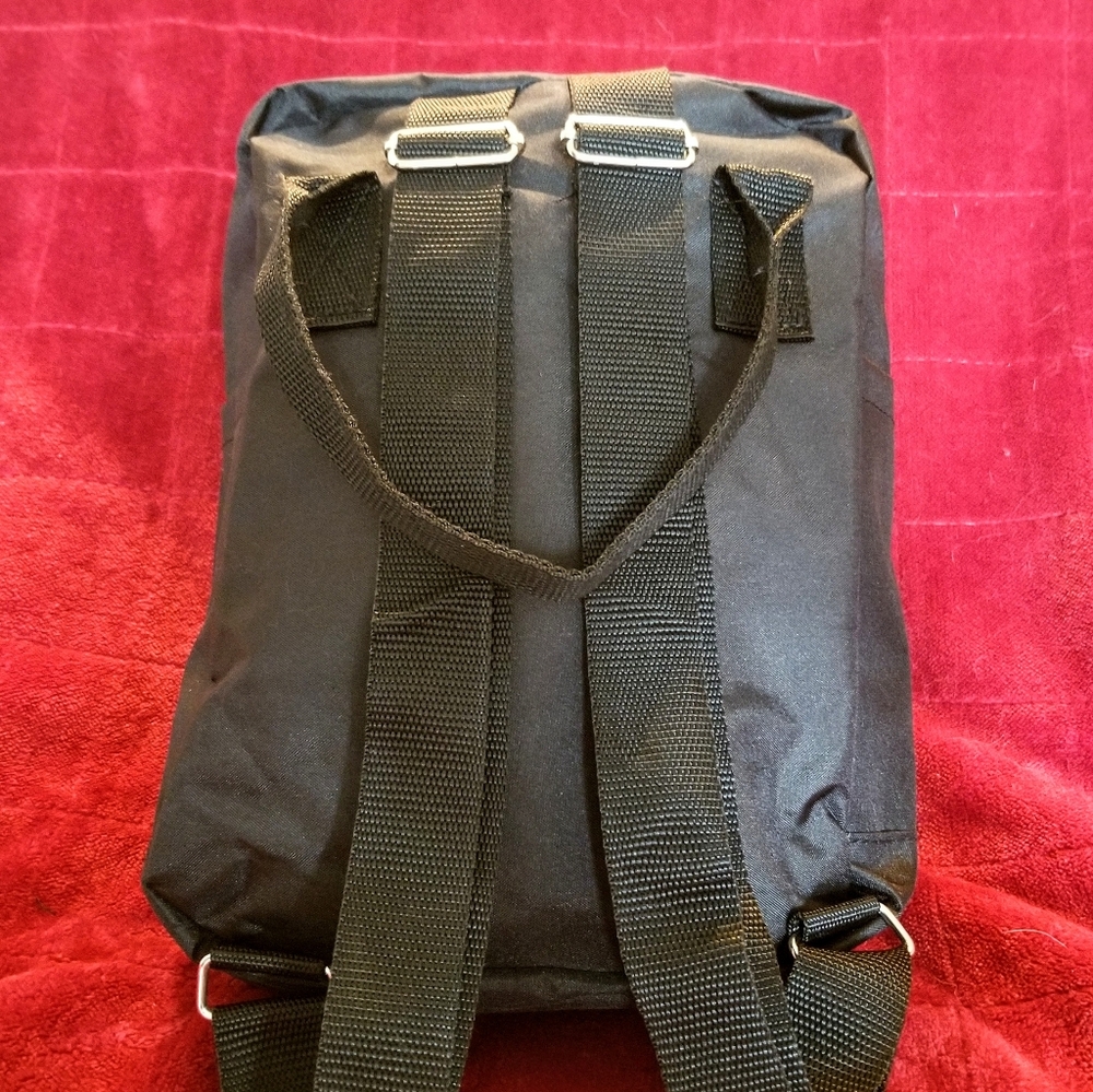 Small Backpack NWT - Picture 3 of 5